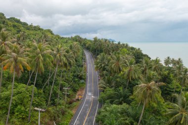 Otoyolda ya da otobanda giden arabaların hava görüntüsü. Köprü caddelerinin üst geçidi mimari konsept ağı ile bağlantılı. Orman ağaçlarının en üst manzarası. Doğa manzarası