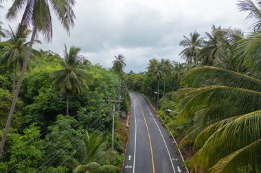 Otoyolda ya da otobanda giden arabaların hava görüntüsü. Köprü caddelerinin üst geçidi mimari konsept ağı ile bağlantılı. Orman ağaçlarının en üst manzarası. Doğa manzarası