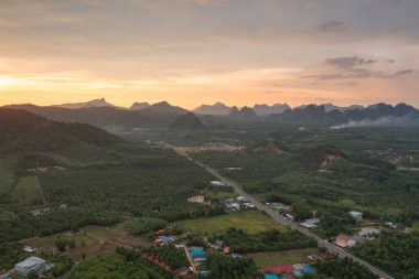 Samet Nangshe 'nin havadan görünüşü, Phang Nga' nın şehir kenti, yukarıdan yemyeşil ağaçlar yaz mevsiminde tropikal ormanda. Doğa manzarası. Desen dokusu arkaplanı.