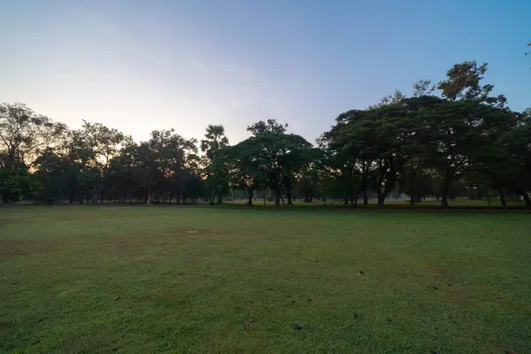 Árboles Forestales Plantación Tailandia Camino Través Parque Jardín Temporada Verano — Foto de Stock