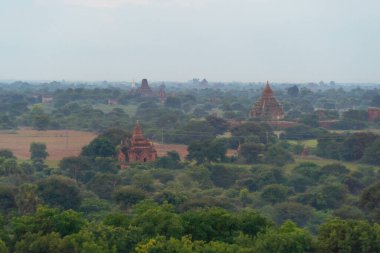 Bagan şehrinin burma tapınaklarının havadan görünüşü balondan, unesko dünya mirasından orman ağaçları, Myanmar veya Burma 'dan. Turizm beldesi.