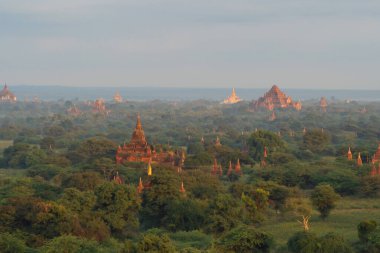 Bagan şehrinin burma tapınaklarının havadan görünüşü balondan, unesko dünya mirasından orman ağaçları, Myanmar veya Burma 'dan. Turizm beldesi.