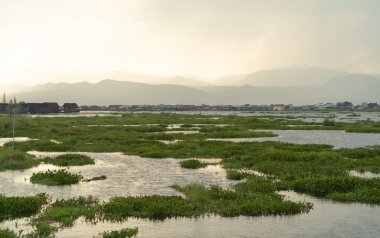 Inle Lake City, yüzen köy şehir evleri, göl denizi ya da nehir. Doğa balıkçılığı ve balıkçılık aletleri, Myanmar. Hayvancılık çiftçiliği.