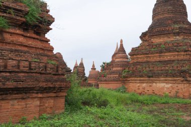 Bagan şehrinin Birmanya tapınakları balondan, orman ağaçları, Myanmar ya da Burma 'nın unesko dünya mirasından. Turizm beldesi.