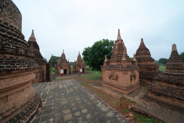 Bagan şehrinin Birmanya tapınakları balondan, orman ağaçları, Myanmar ya da Burma 'nın unesko dünya mirasından. Turizm beldesi.