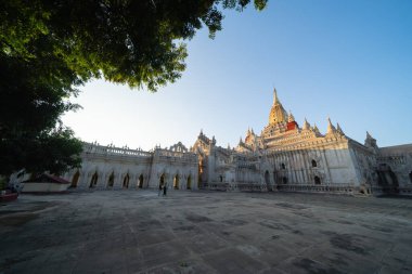 Bagan şehrinin Birmanya tapınakları balondan, orman ağaçları, Myanmar ya da Burma 'nın unesko dünya mirasından. Turizm beldesi.