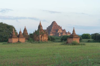 Bagan şehrinin Birmanya tapınakları balondan, orman ağaçları, Myanmar ya da Burma 'nın unesko dünya mirasından. Turizm beldesi.