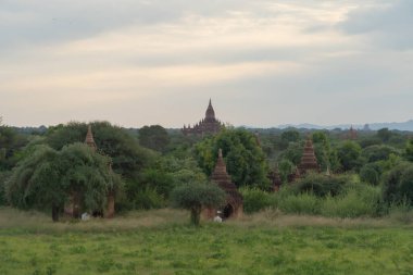 Bagan şehrinin Birmanya tapınakları balondan, orman ağaçları, Myanmar ya da Burma 'nın unesko dünya mirasından. Turizm beldesi.