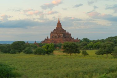 Bagan şehrinin Birmanya tapınakları balondan, orman ağaçları, Myanmar ya da Burma 'nın unesko dünya mirasından. Turizm beldesi.