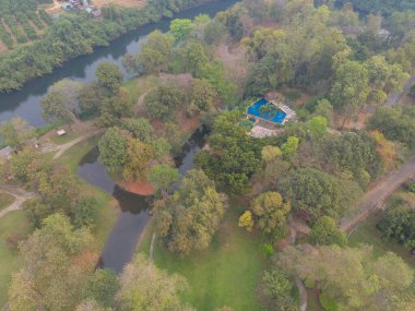 Yaz mevsiminde ulusal parktaki tropikal ormanın yukarısından yemyeşil ağaçların havadan görünüşü. Doğa manzarası. Desen dokusu arkaplanı.
