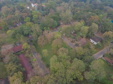 Yaz mevsiminde ulusal parktaki tropikal ormanın yukarısından yemyeşil ağaçların havadan görünüşü. Doğa manzarası. Desen dokusu arkaplanı.