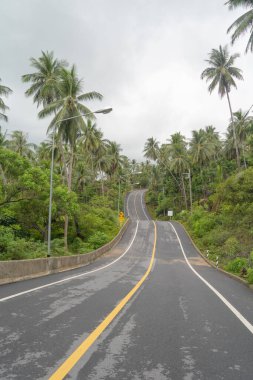Otoyolda ya da moterway 'de giden arabalar. Köprü caddelerinin üst geçidi mimari konsept ağı ile bağlantılı. Orman ağaçlarının en üst manzarası. Doğa manzarası