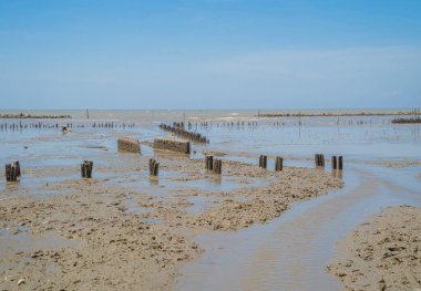 Nehirde çamur, göl veya göl. Doğa manzarası arka planı.
