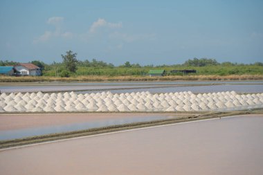 Çiftçiler denizden bir yığın çiğ deniz tuzu yapıyorlar. Çiftlik arazisi. Tayland 'da geleneksel tuz endüstrisinde doğa malzemesi. Asya kültürü. Tarım yaşam tarzı insanları.