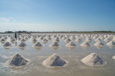 Çiftçiler denizden bir yığın çiğ deniz tuzu yapıyorlar. Çiftlik arazisi. Tayland 'da geleneksel tuz endüstrisinde doğa malzemesi. Asya kültürü. Tarım yaşam tarzı insanları.