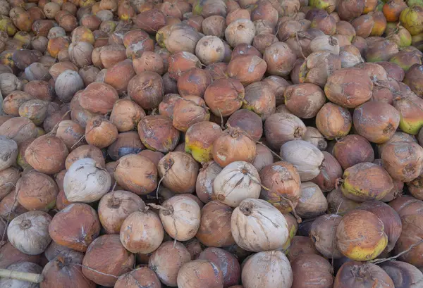 Markette Hindistan Cevizi Palmiye Ağaçları Tarım Çiftliği Kavramında Doğa Yiyecek — Stok fotoğraf