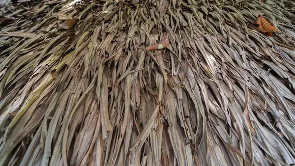 Een Dak Gemaakt Van Gedroogde Nipa Palmbladeren — Stockfoto