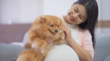 Mutlu Asyalı hamile kadın portresi ve evcil köpek evcil hayvanı yatak odasında. Bebek sahibi olmak. Aile hayatı işte. Annen seni seviyor.