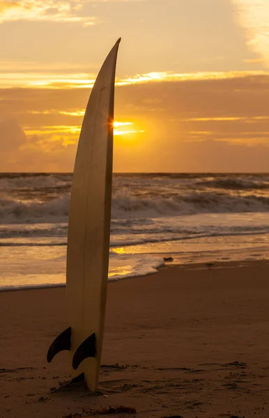 Surfbrett Sand Strand Bei Sonnenuntergang Oder Sonnenaufgang — Stockfoto