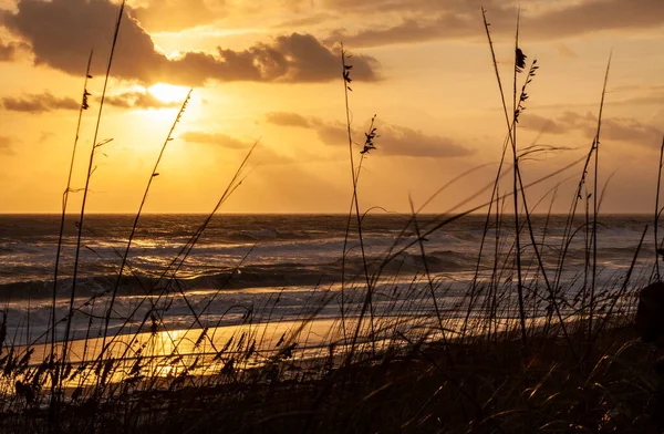 黎明时分或日落时分 绵延空旷的沙滩 长草和沙丘 — 图库照片