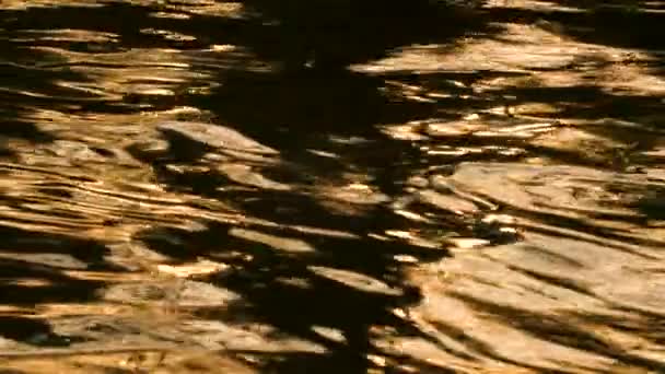 Abstraktní Přírodní Pozadí Zpomalený Videoklip Zlatého Světla Odrážejícího Moři Jezeře — Stock video