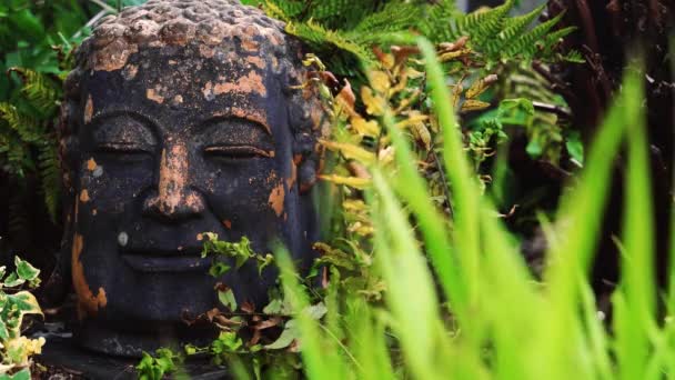亚洲雨林树叶中的古佛头像 — 图库视频影像