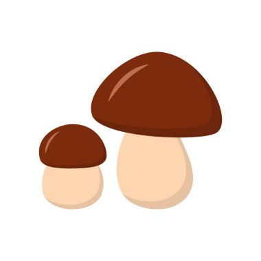 Orman mantarları. Vitamin salatası ve vektör tasarımı için kahverengi başlıklı iki yenilebilir organik boletus.