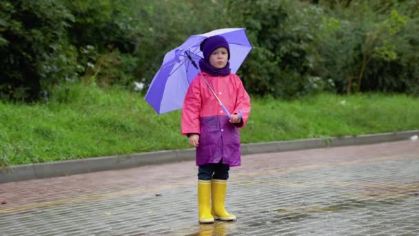 Şemsiyeli Bir Çocuk Yağmurda Yürür Şemsiyeli Mutlu Çocuk Dışarıda — Stok video