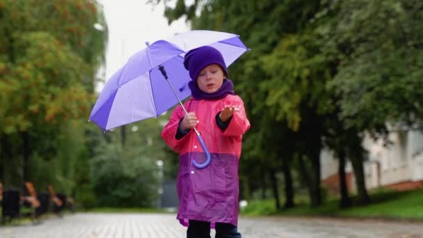 Ребенок Играет Осенний Дождь Парень Зонтиком Детские Развлечения Свежем Воздухе — стоковое видео