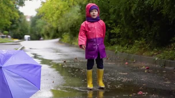 Los Niños Con Paraguas Botas Lluvia Juegan Aire Libre Bajo — Vídeo de stock