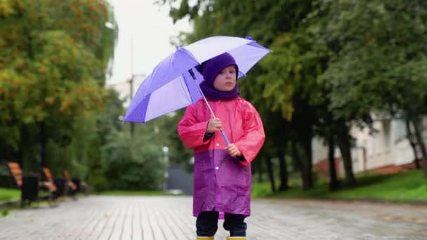 傘を持った子供が雨の中を歩く 幸せな男の子とともに傘屋外 — ストック動画
