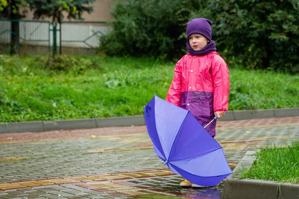 Barn Leker Höstregn Grabben Med Paraply Utomhus Kul För Barn — Stockfoto