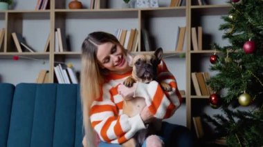 Şık süveter giyen şık bir kadın ve sevimli köpek Noel ağacını süslü İskandinav odasında modern beyaz takılarla süslüyor. Şirin beyaz köpek sahibi.