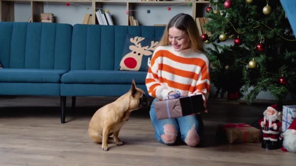 漂亮的女人穿着舒适的毛衣 在圣诞树旁装饰着节日的房间里玩耍 戏弄和拥抱可爱的法国斗牛犬 — 图库视频影像