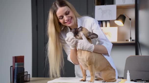 Молода Щаслива Ветеринарна Медсестра Посміхається Граючи Собакою — стокове відео