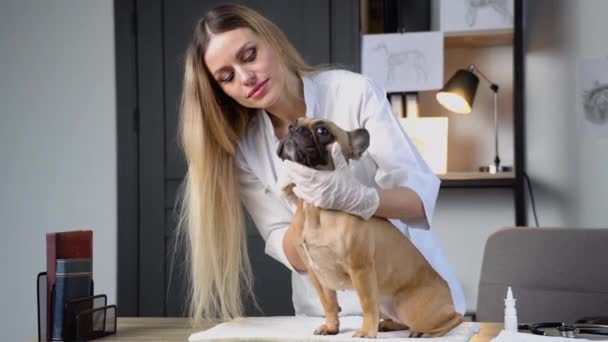 Bela Jovem Veterinário Examinando Cão Clínica — Vídeo de Stock