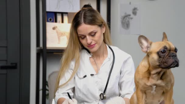 Medicína Péče Zvířata Lidé Koncept Lékař Schránkou Dělat Poznámky Veterinární — Stock video