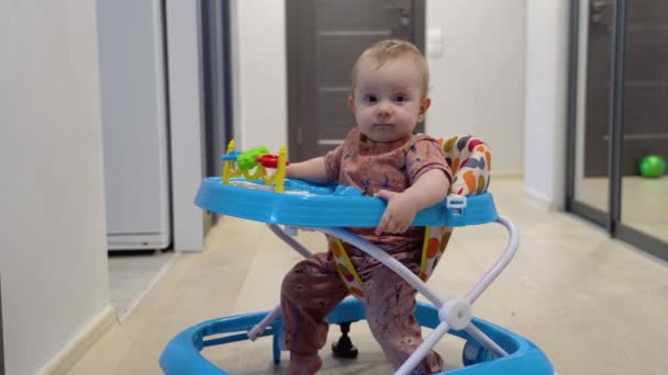 Cute Baby Toy Walker Home Childhood Concept — Stockvideo