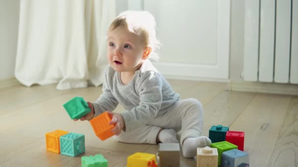 Ребёнок Играет Красочными Игрушечными Блоками Дети Играют Маленький Мальчик Строит — стоковое видео