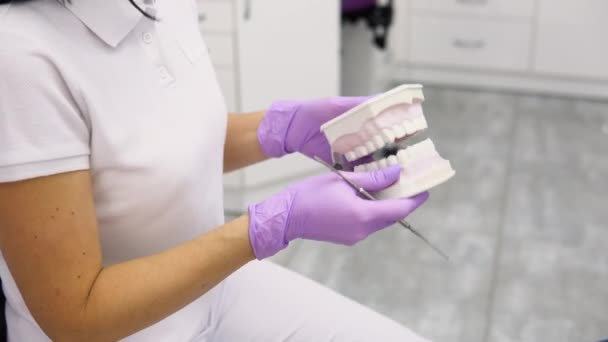 Doświadczony Dentysta Siedzi Przy Stole Próbkami Zębów Szczęki Gabinecie Dentystycznym — Wideo stockowe