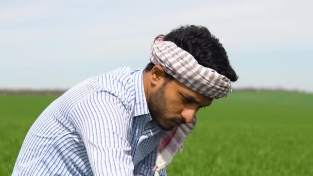 小麦畑で働く若いインド人農家 タブレット上の灌漑センターピボットスプリンクラーシステムの検査と調整 — ストック動画