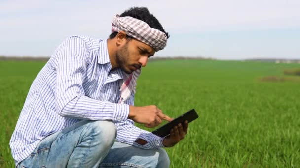 Индийский Агроном Осматривает Пшеницу Выращиваемую Сельскохозяйственном Поле Концепция Производства — стоковое видео