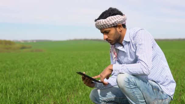 Молодой Индийский Фермер Работающий Пшеничном Поле Осматривает Настраивает Планшет Центральную — стоковое видео