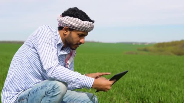 Молодий Індійський Агроном Вивчає Урожай Пшениці Полі Влітку Фермер Пшеничному — стокове відео