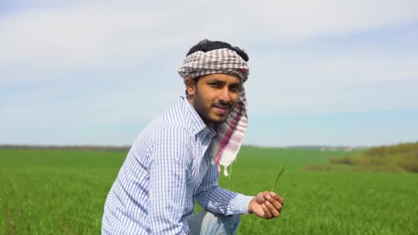 インドの農夫彼の麦畑で作物を保持 — ストック動画