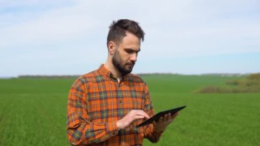 Tarlada yetişen buğdayları denetleyen tarımcı. Tarım üretim kavramı.