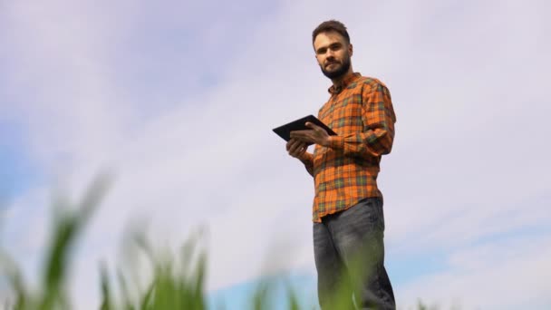 彼の手にタブレットと緑の小麦畑の農家 スマートファーム — ストック動画
