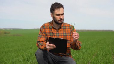 Tarlada ekin eken ve buğday yetiştiren çiftçi.