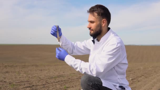 Scientist Checks Quality Soil Control Soil Quality Seed Plant Future — Stock Video