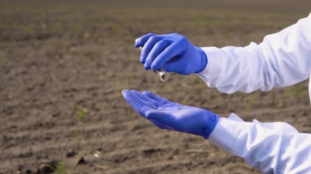 Scientist Studying Sample Soil Field — Stock Video